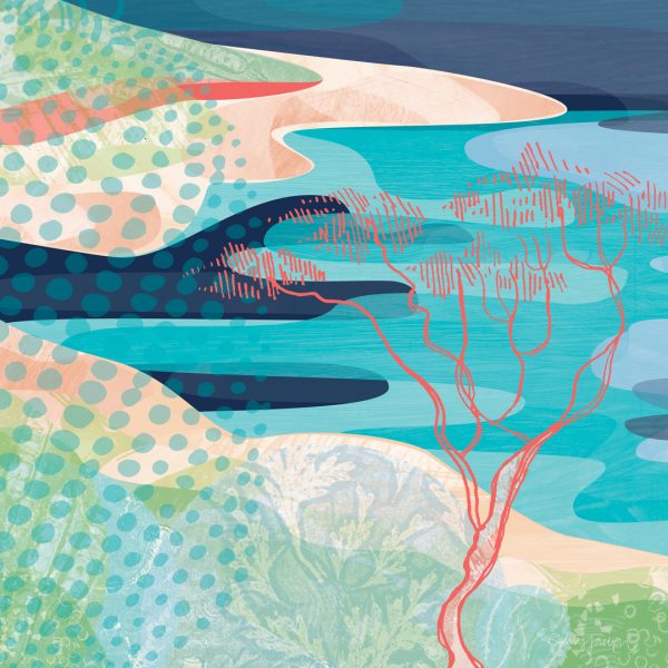 Beyond the Brook