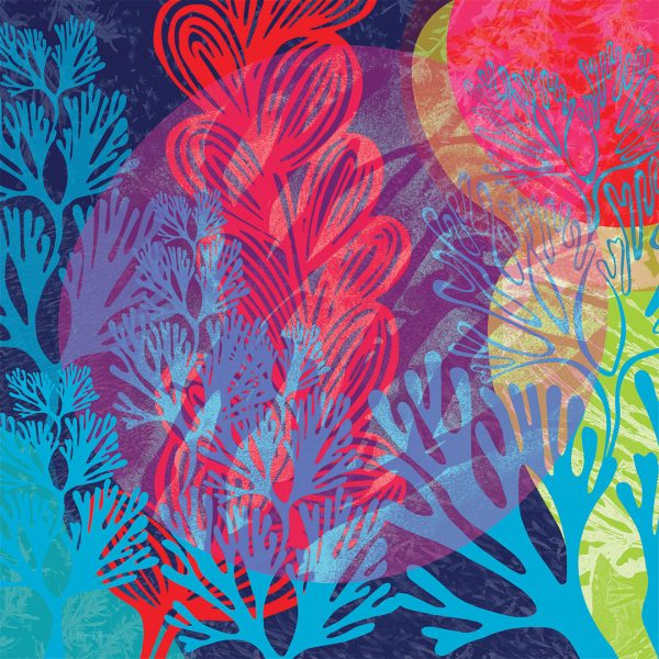 Seaweeds